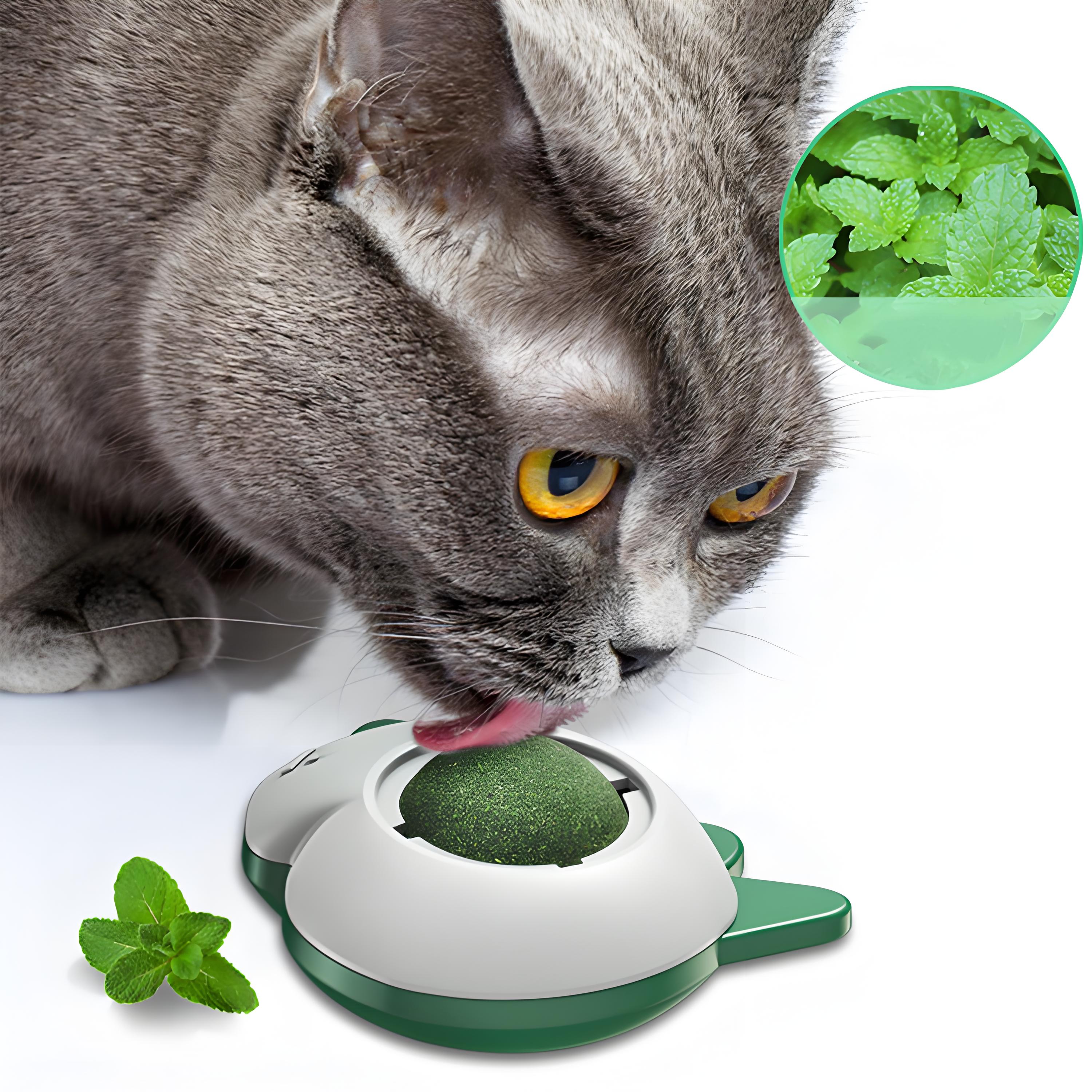 Spinning Catnip Ball for Cats, Interactive Self-Cleaning Dental Toy for Healthy Teeth