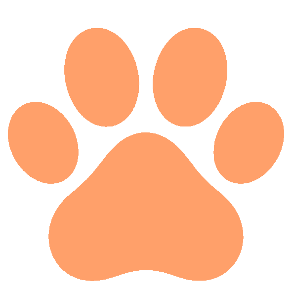 Bark’n’Meow background image two