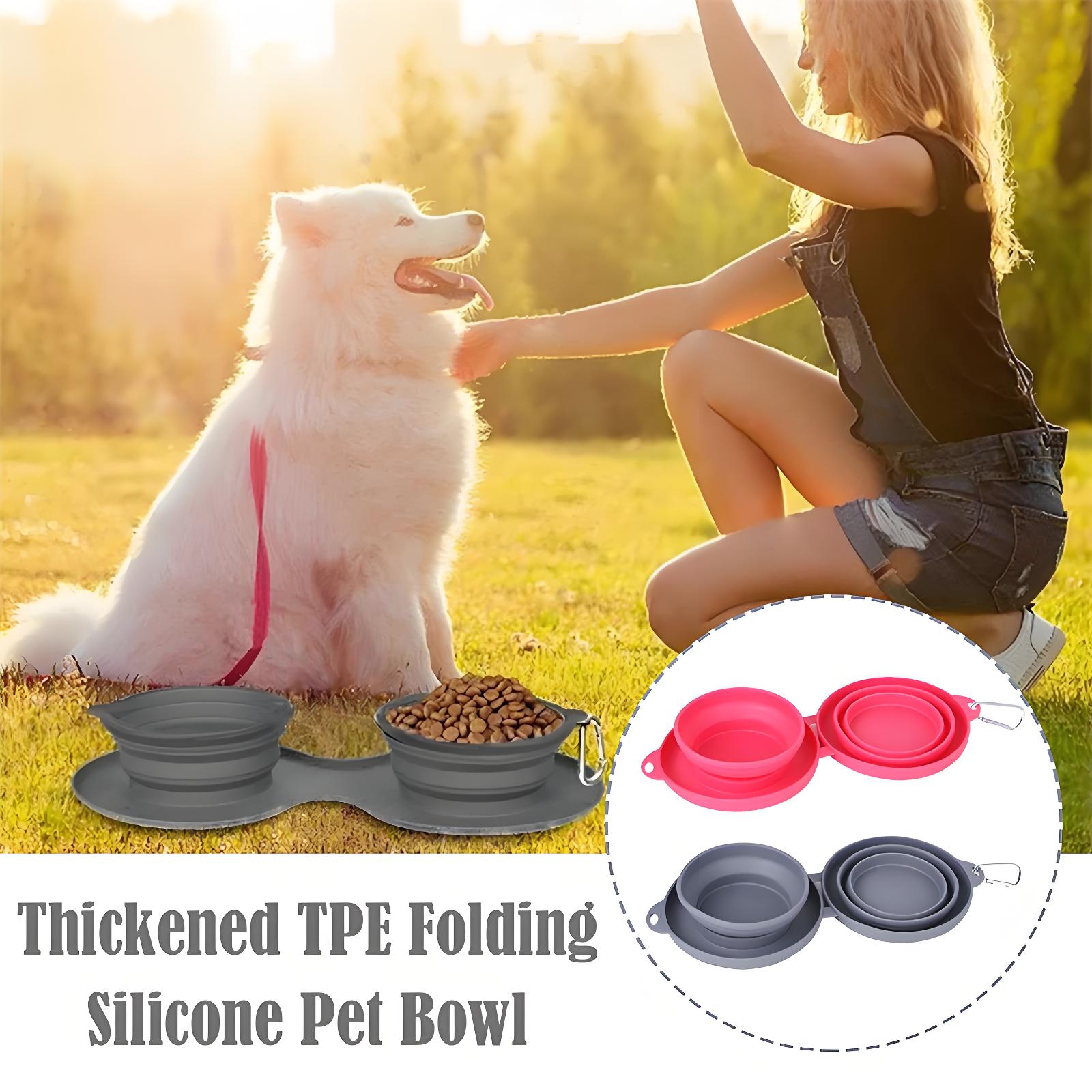 Foldable Double Pet Feeding Bowl – Portable Dog & Cat Water and Food Bowls with Non-Slip Silicone Mat