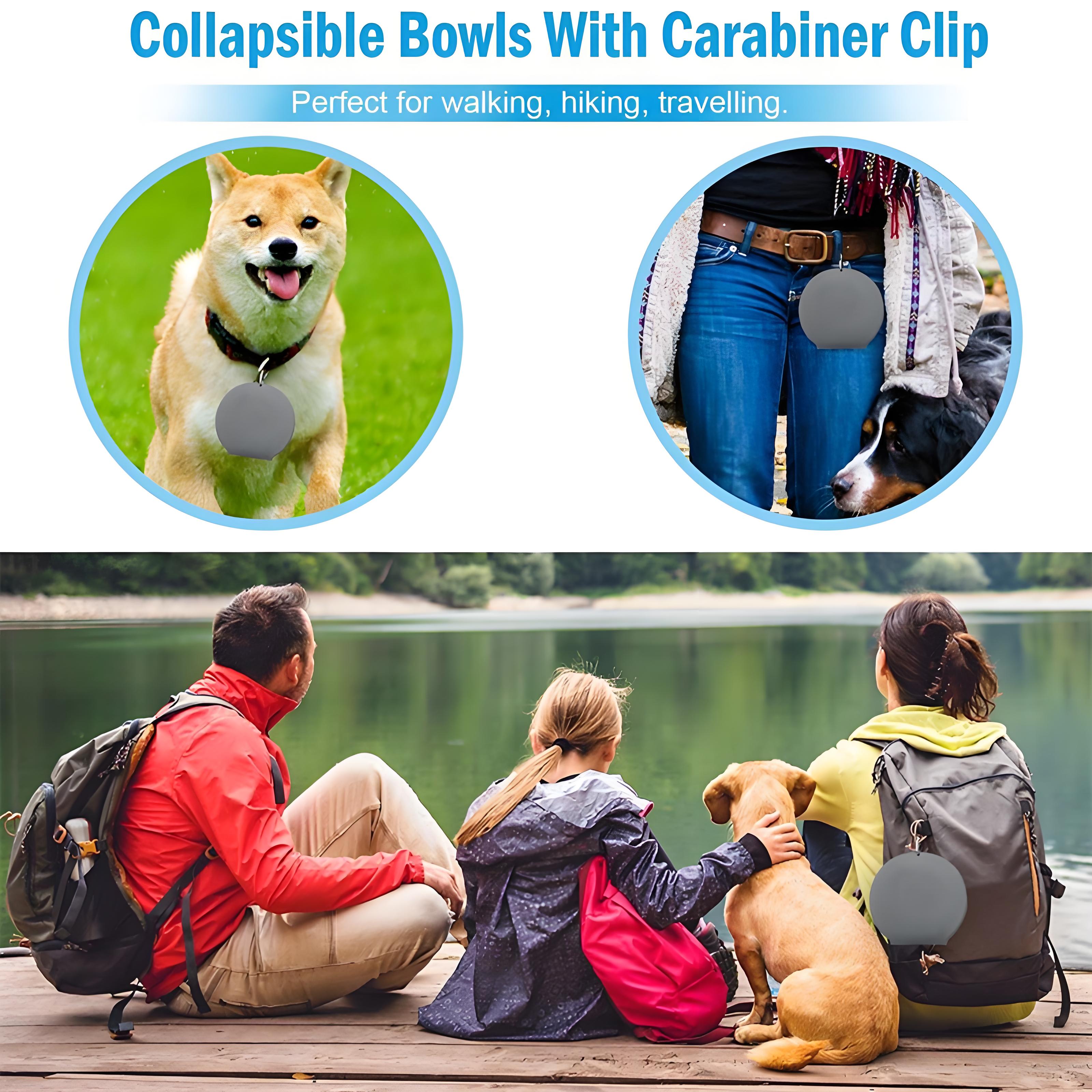 Foldable Double Pet Feeding Bowl – Portable Dog & Cat Water and Food Bowls with Non-Slip Silicone Mat