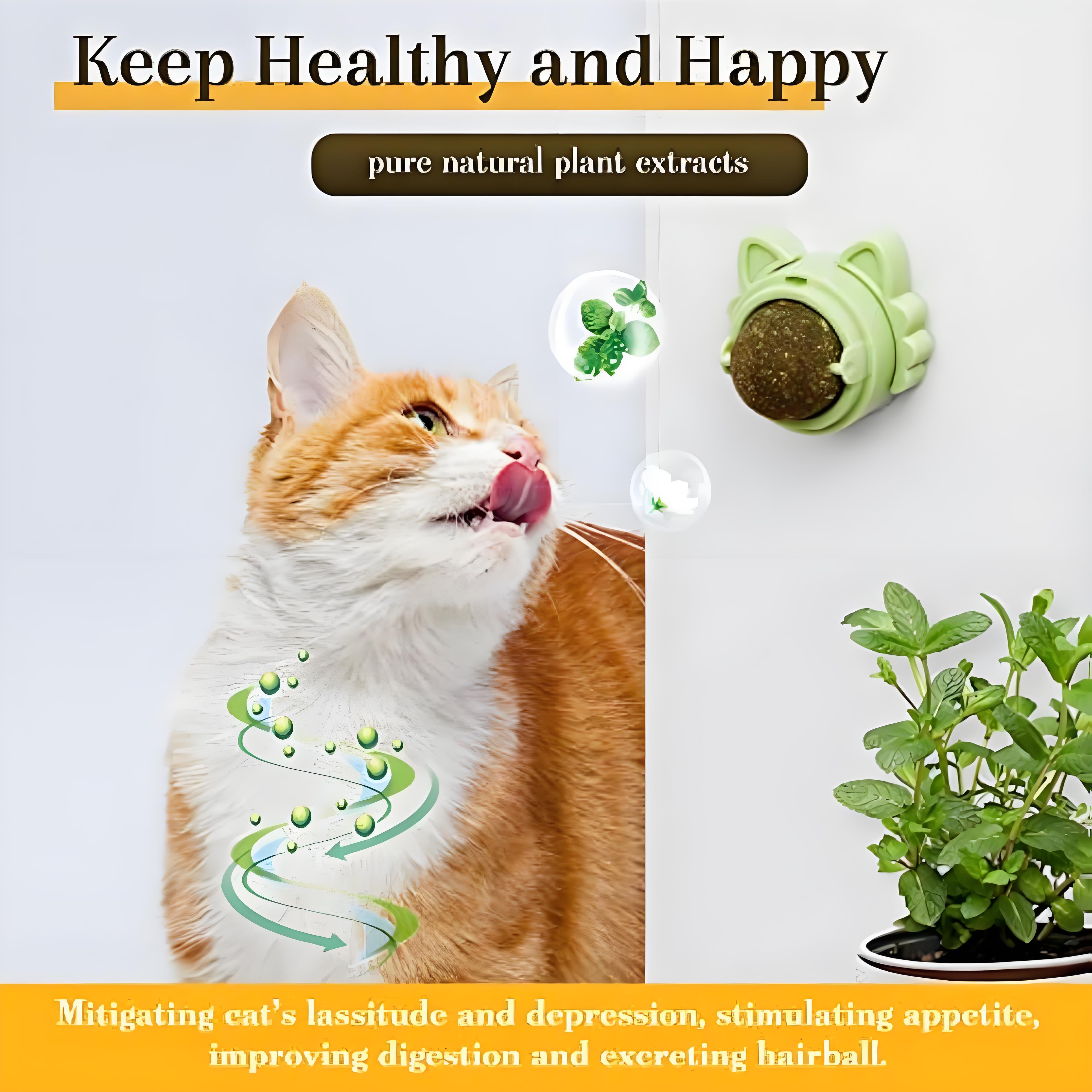 Premium Catnip Balls That Stick on Wall, Interactive Cat Toys for Dental Health & Fun Play