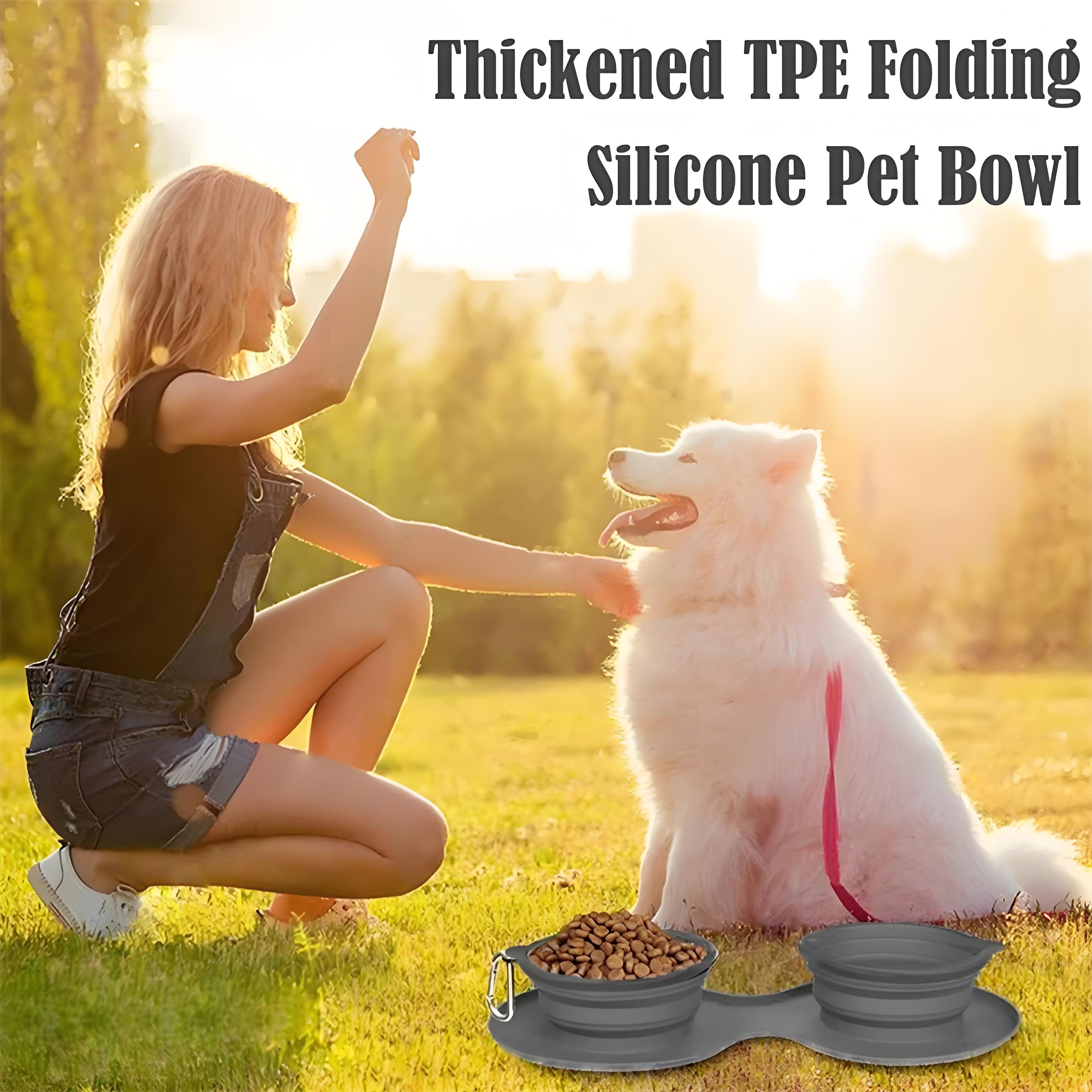 Foldable Double Pet Feeding Bowl – Portable Dog & Cat Water and Food Bowls with Non-Slip Silicone Mat