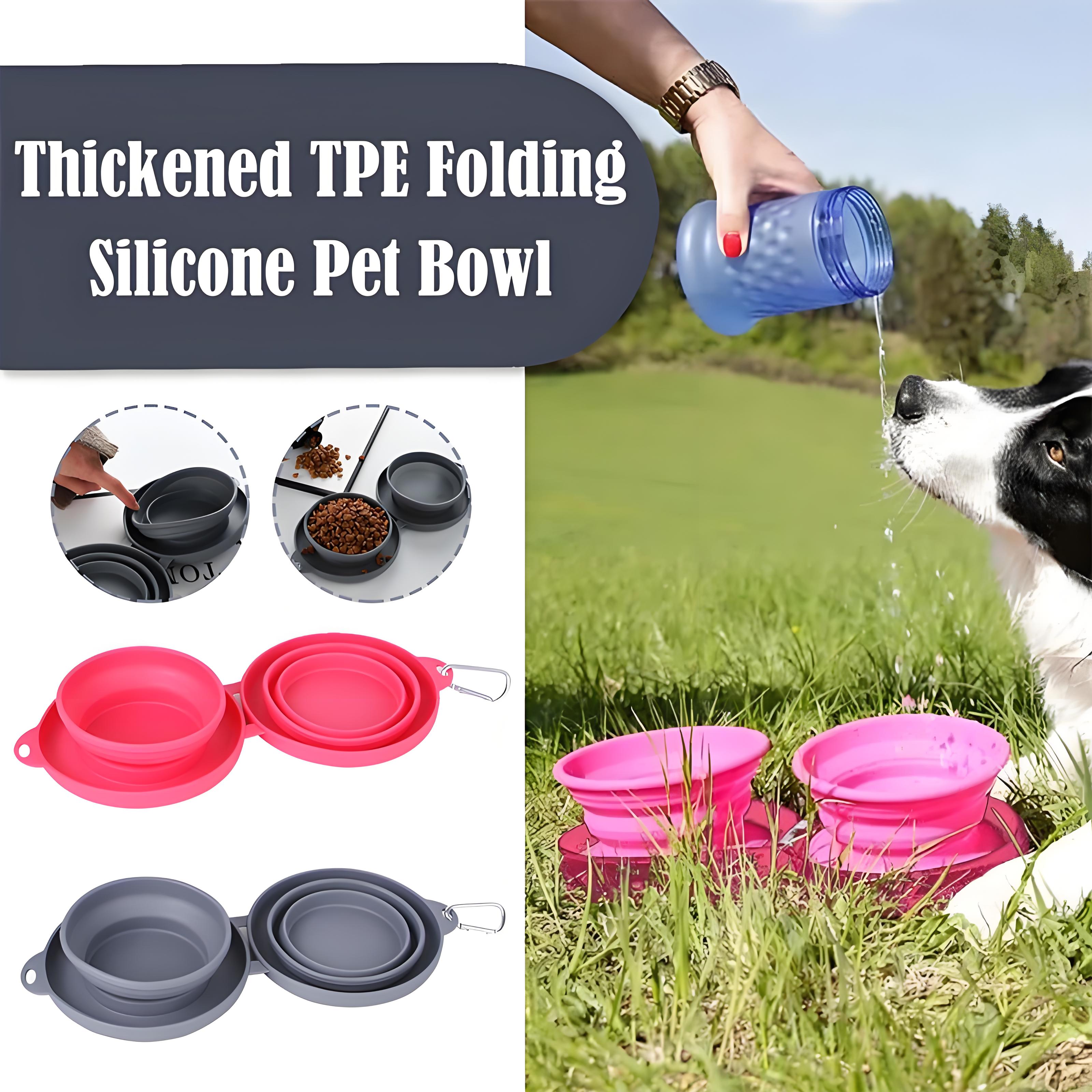 Foldable Double Pet Feeding Bowl – Portable Dog & Cat Water and Food Bowls with Non-Slip Silicone Mat