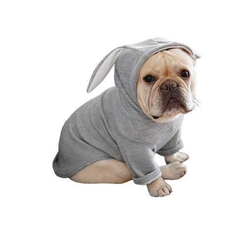 Pet Clothes
