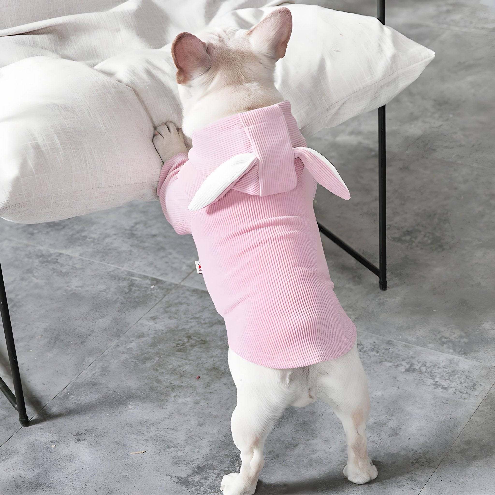 Adorable Dog Hoodie with Bunny Ears, Soft Pet Sweatshirt for Small & Medium Dogs - Bark'n'Meow - Bark'n'Meow