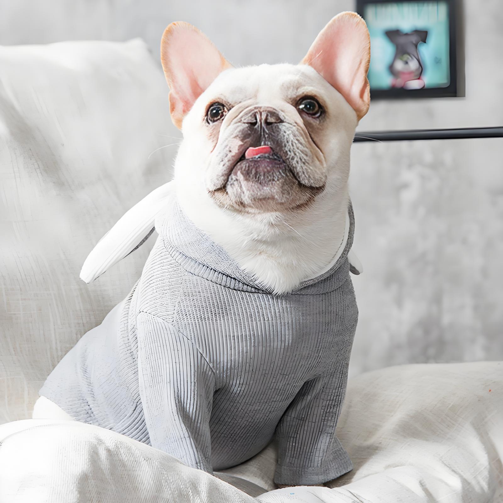 Adorable Dog Hoodie with Bunny Ears, Soft Pet Sweatshirt for Small & Medium Dogs - Bark'n'Meow - Bark'n'Meow