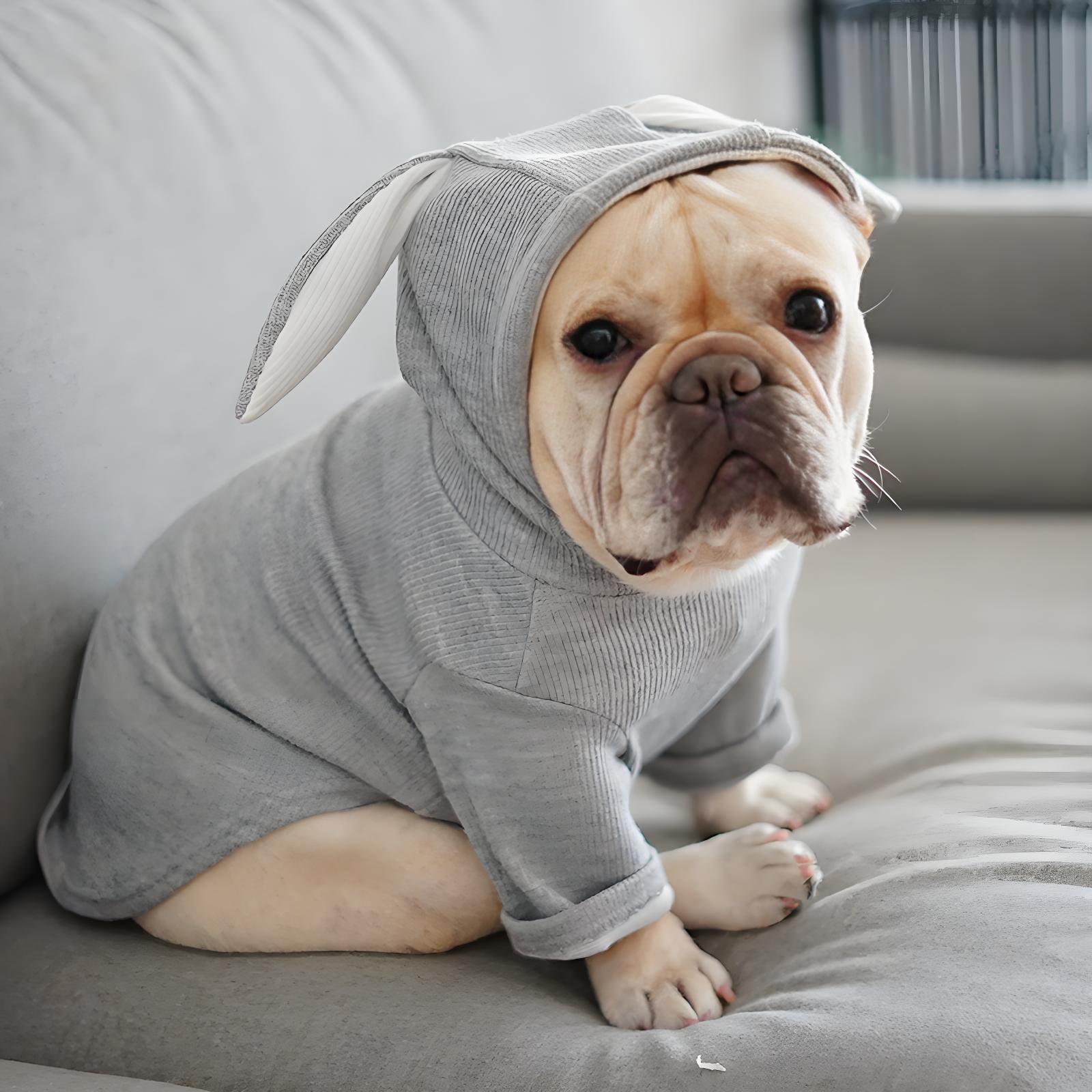 Adorable Dog Hoodie with Bunny Ears, Soft Pet Sweatshirt for Small & Medium Dogs - Bark'n'Meow - Bark'n'Meow