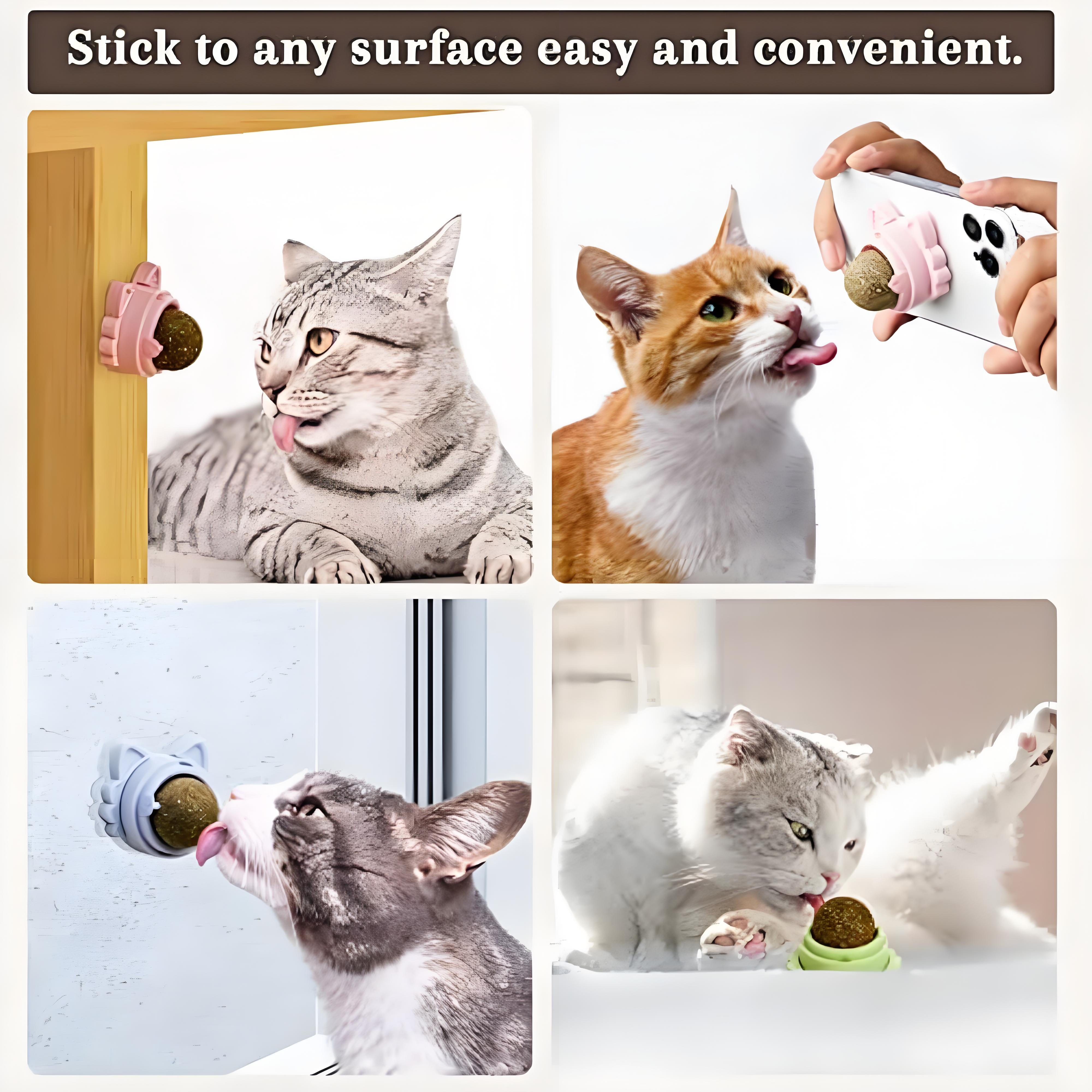 Premium Catnip Balls That Stick on Wall, Interactive Cat Toys for Dental Health & Fun Play
