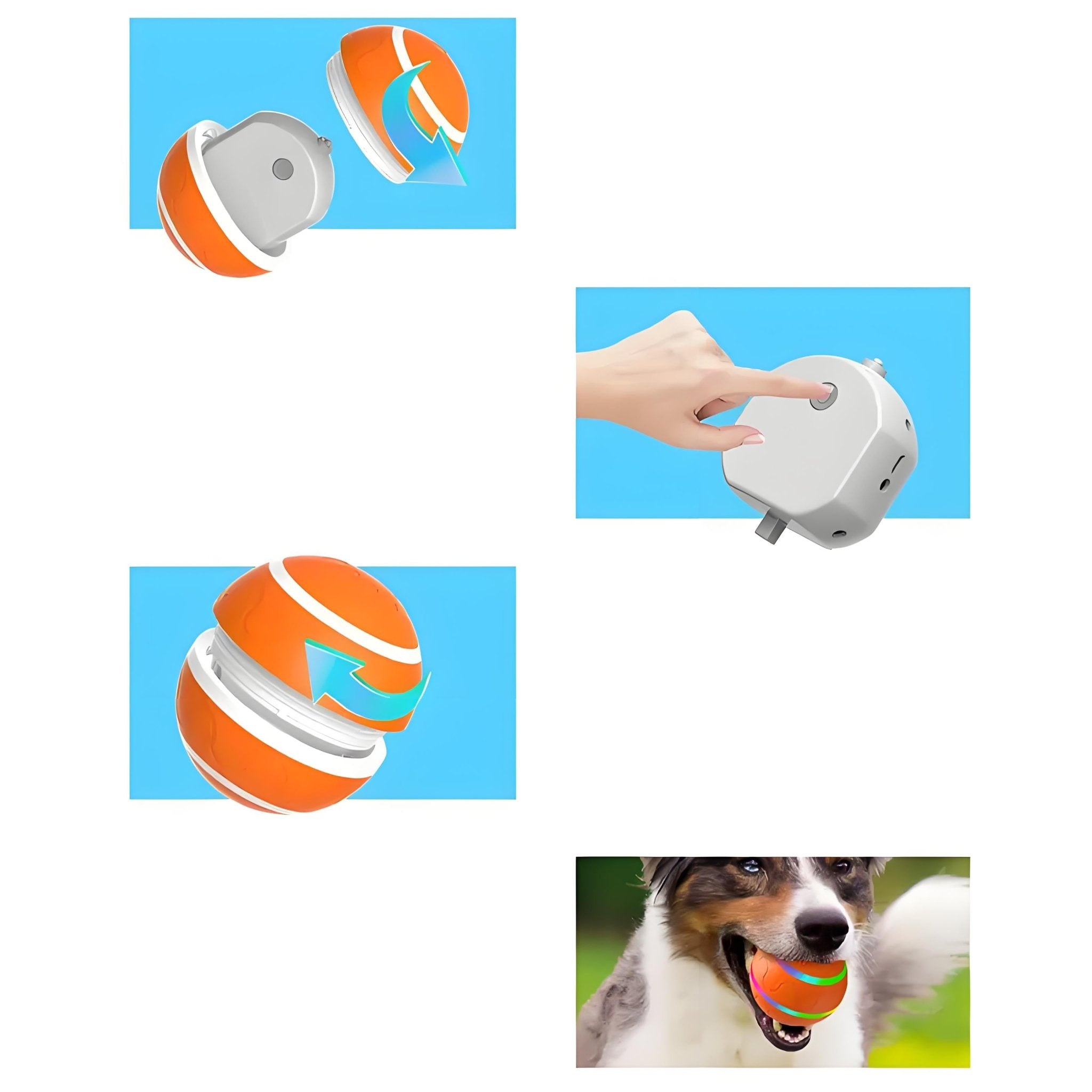 Interactive Dog Toys, Automatic Rolling Ball Toys for/Small/Medium/Large Dogs,USB Rechargeable - Bark'n'Meow - Bark'n'Meow