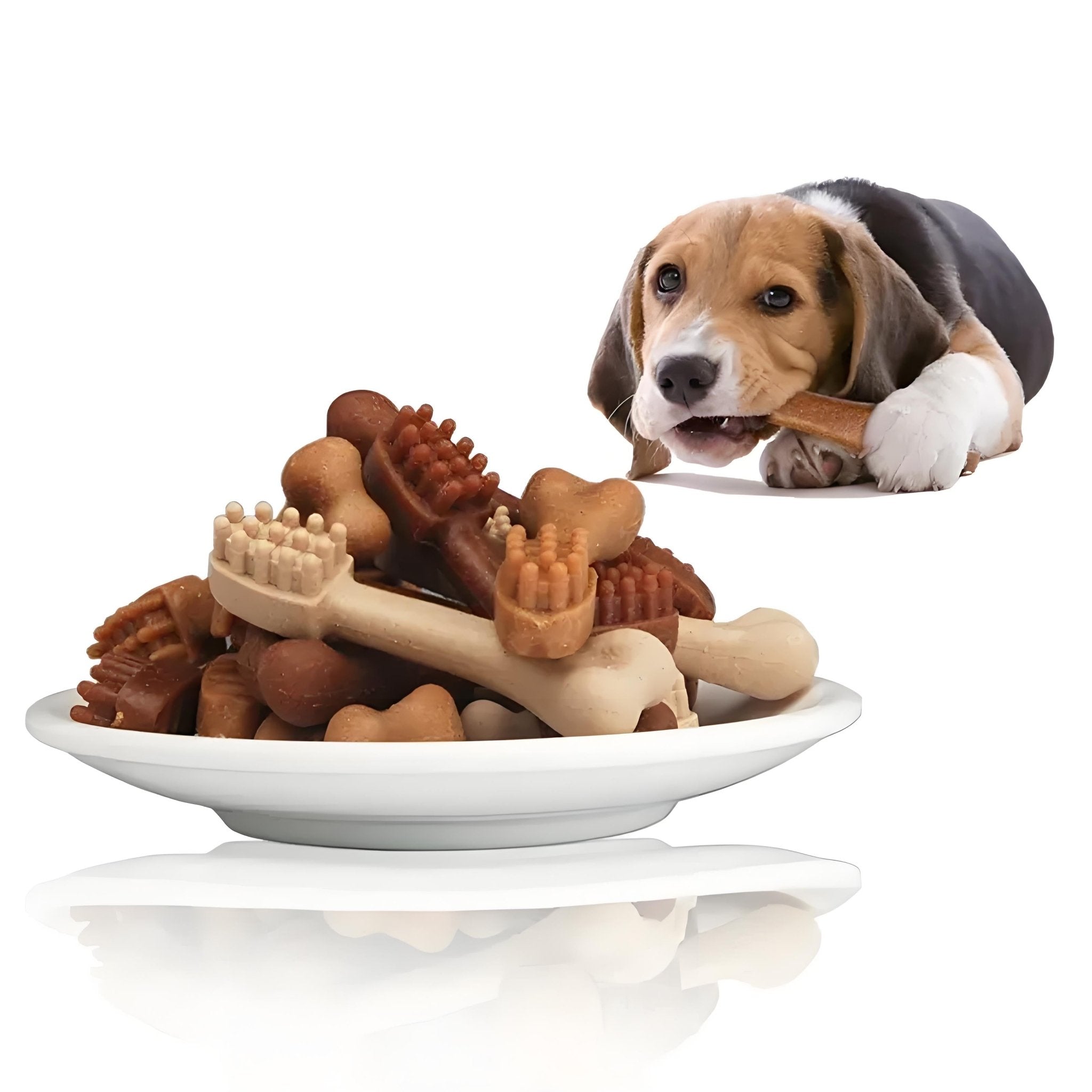 Natural Dog Dental Chews, Rawhide - Free Toothbrush Sticks for Teeth Cleaning & Fresh Breath - Bark'n'Meow - Bark'n'Meow